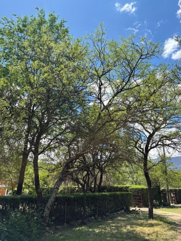 ALQUILO CASA en LAS RABONAS TRASLASIERRAS